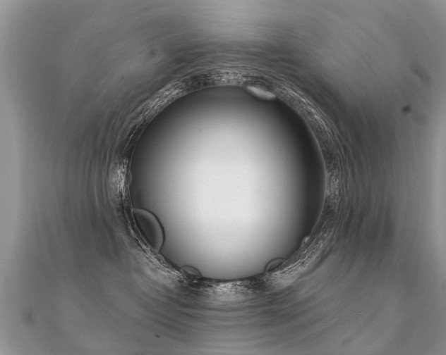 X0000112080382200908111500
