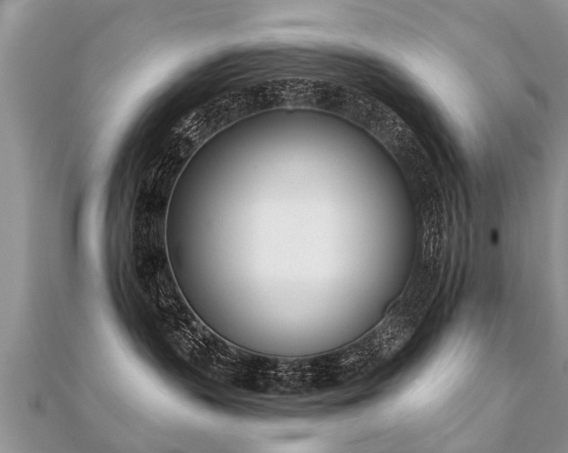 X0000112080383200908111500