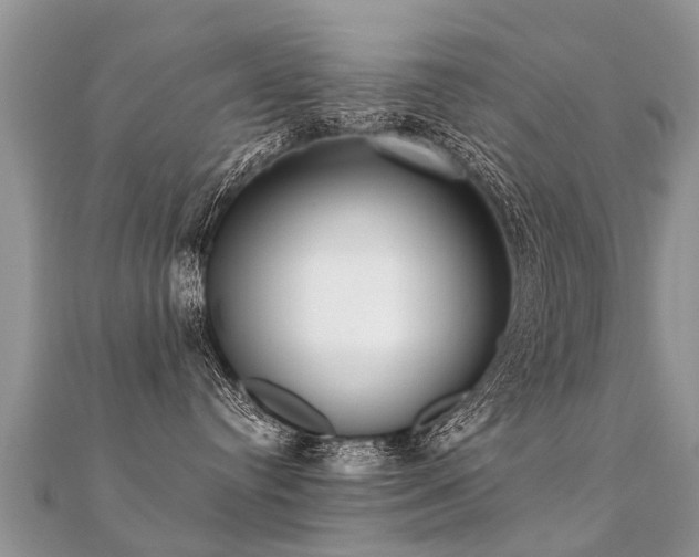 X0000112080384200908111500