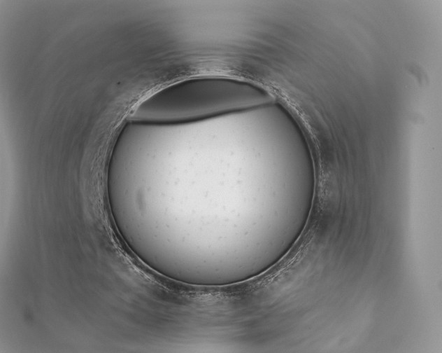 X0000112080385200908111500