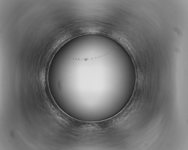 X0000112080386200908111500