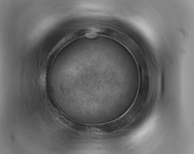 X0000112080387200908111459