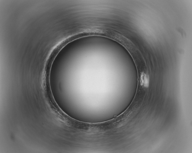X0000112080388200908111459