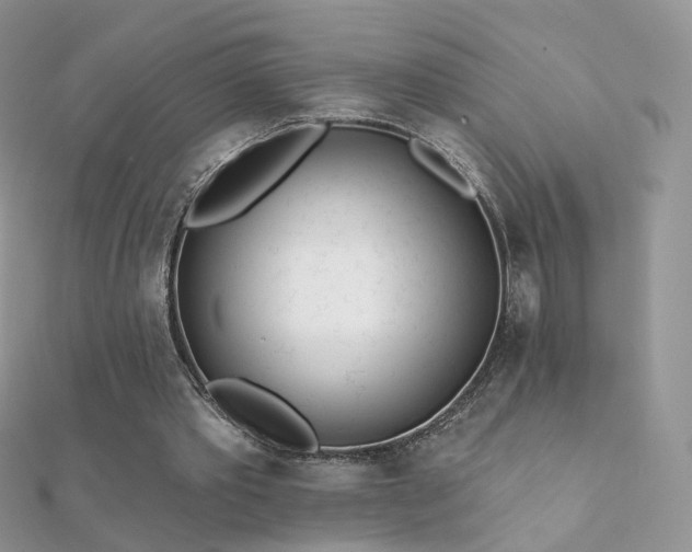 X0000112080389200908111459