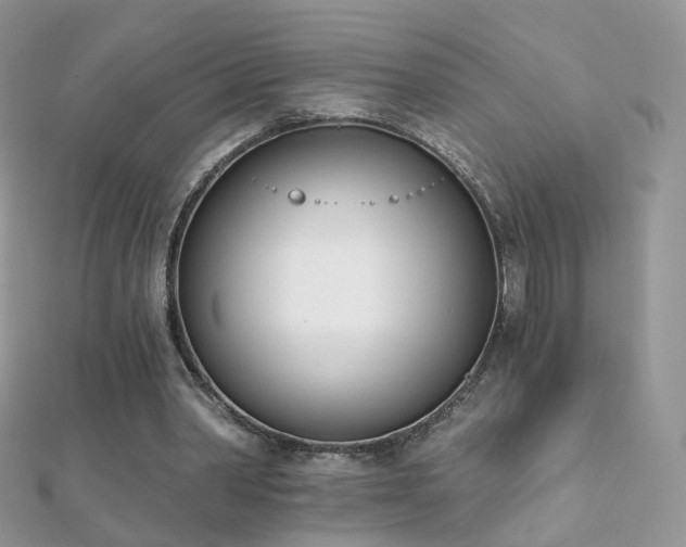 X0000112080390200908111459
