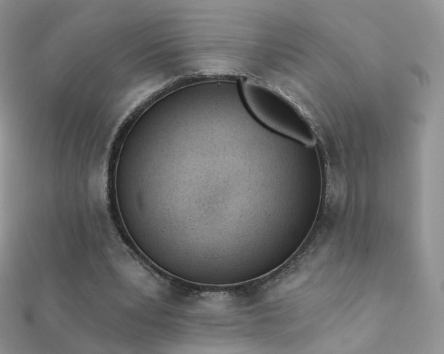 X0000112080391200908111459