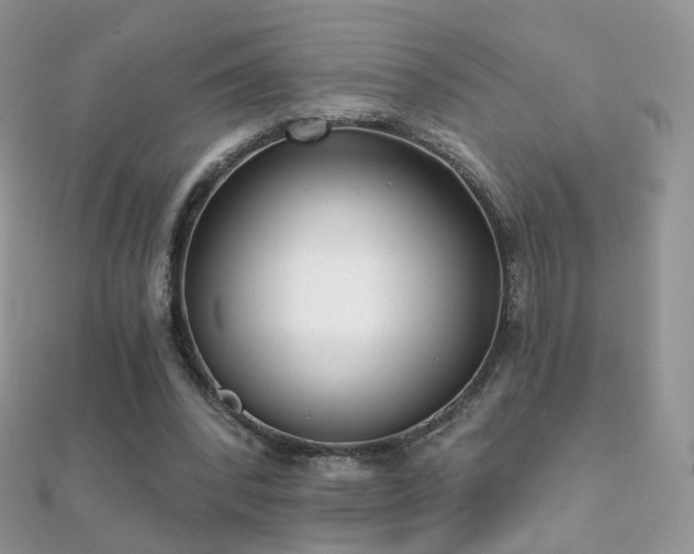 X0000112080392200908111459