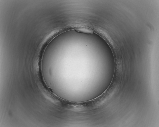 X0000112080395200908111459