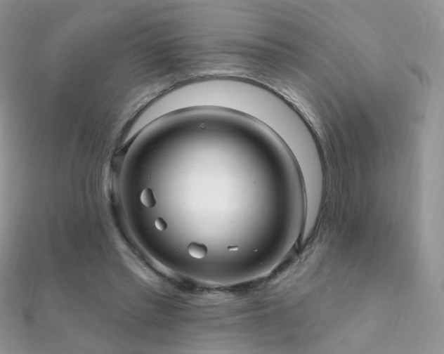 X0000112080397200908111459