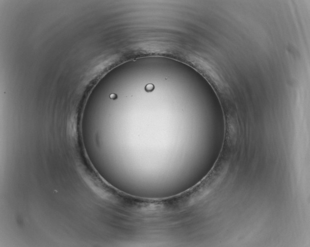 X0000112080398200908111459