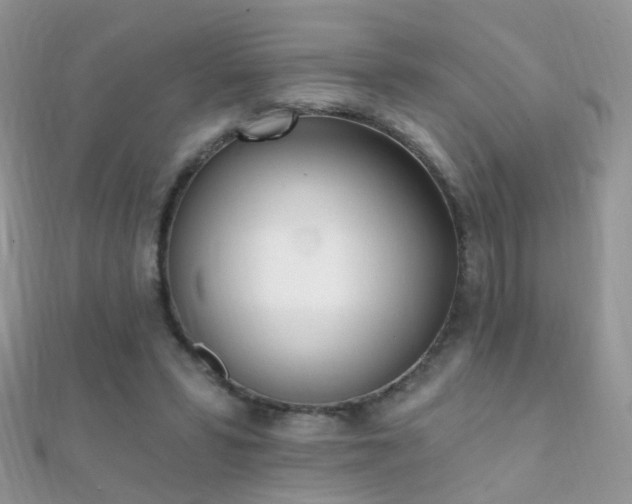 X0000112080399200908111459
