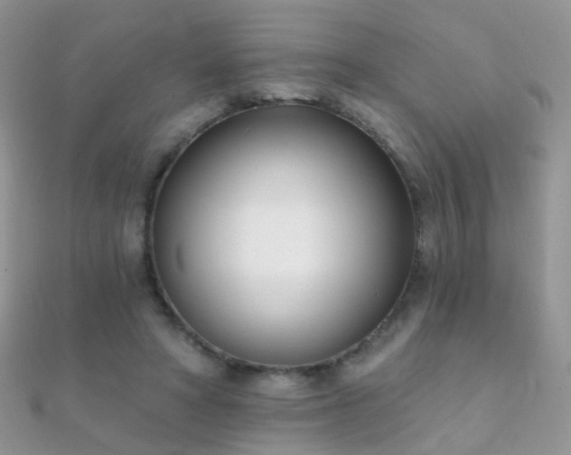X0000112080402200908111459