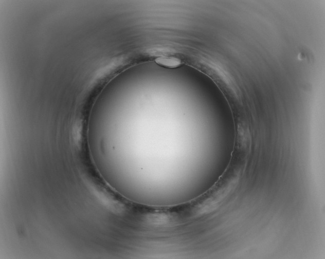 X0000112080404200908111459
