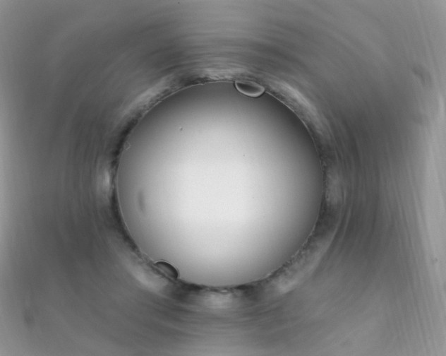 X0000112080405200908111459