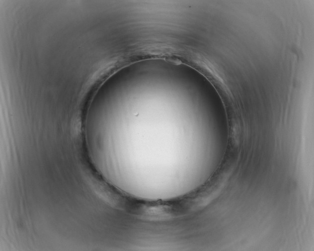 X0000112080407200908111459