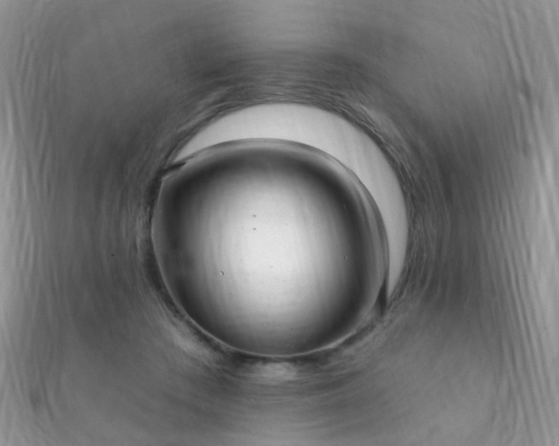 X0000112080409200908111459