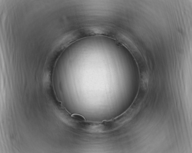 X0000112080410200908111459