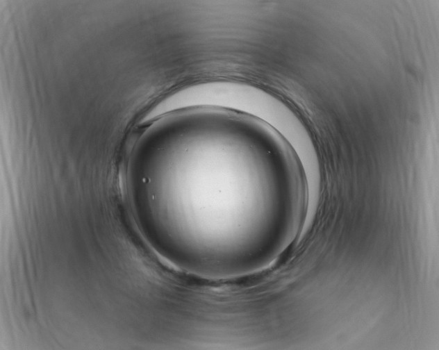 X0000112080411200908111459