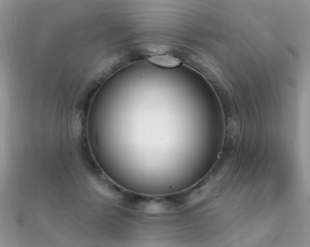 X0000112080412200908111459