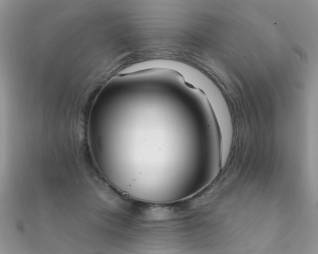 X0000112080413200908111459