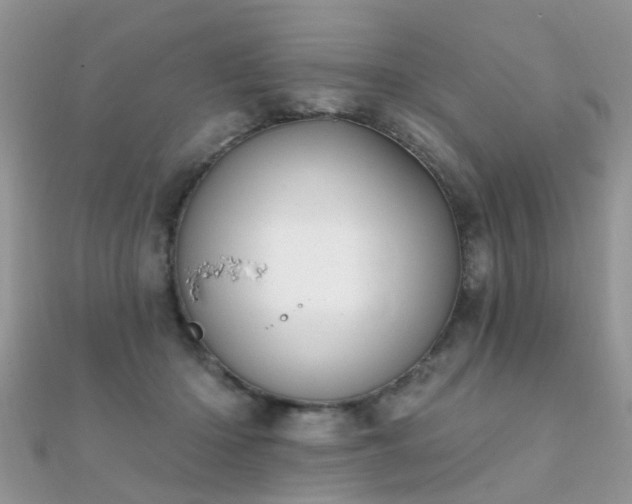 X0000112080414200908111459