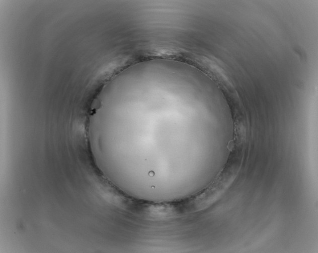 X0000112080415200908111459