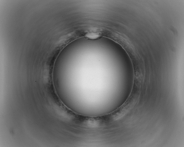 X0000112080416200908111459