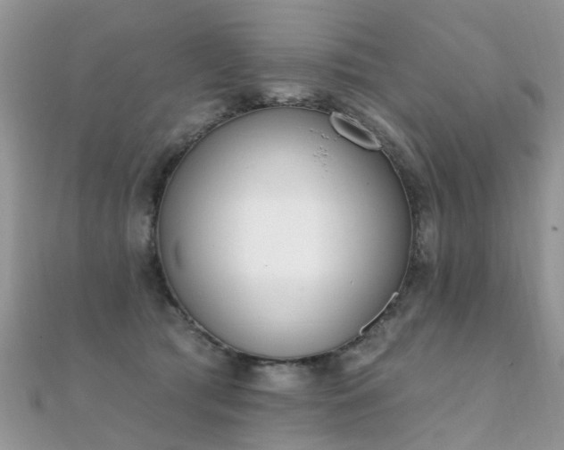 X0000112080417200908111459