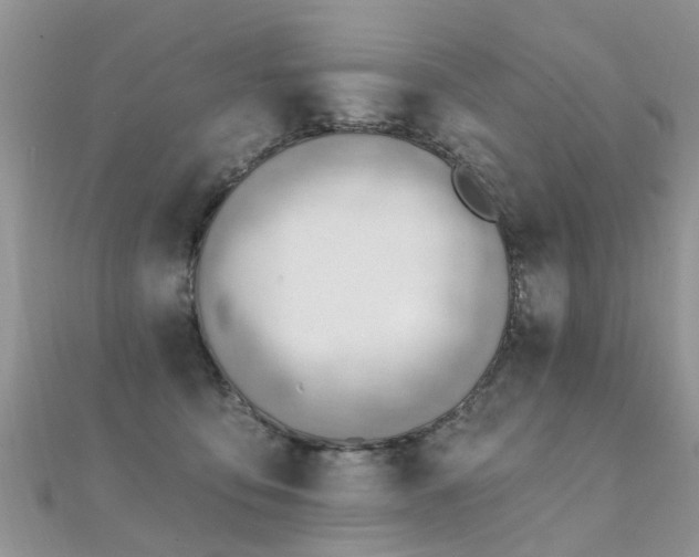 X0000112080419200908111459