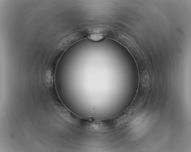 X0000112080420200908111459