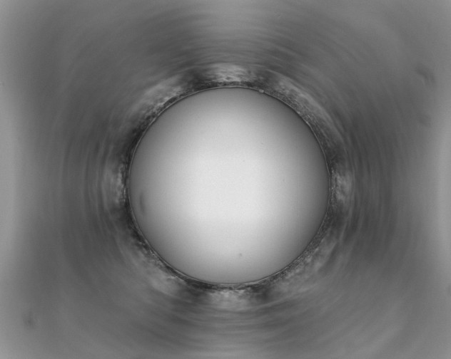 X0000112080422200908111459