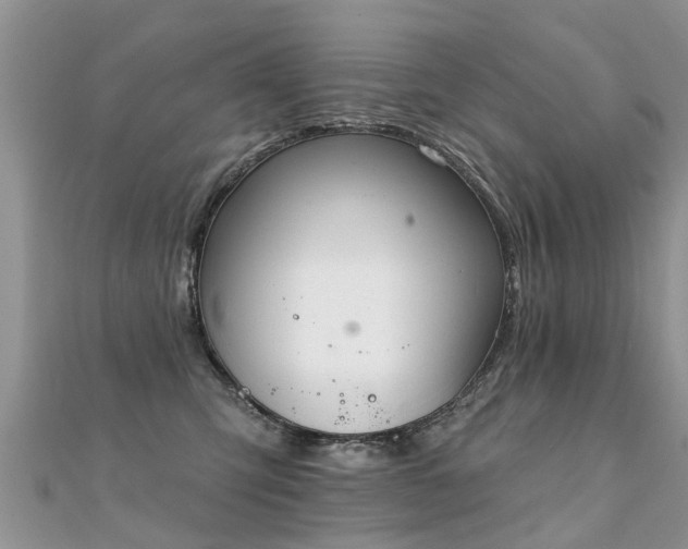 X0000112080423200908111459