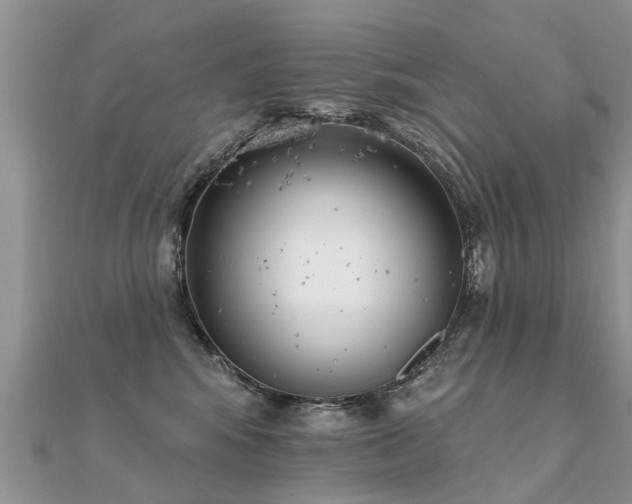 X0000112080424200908111459