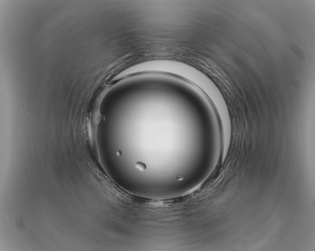 X0000112080425200908111459