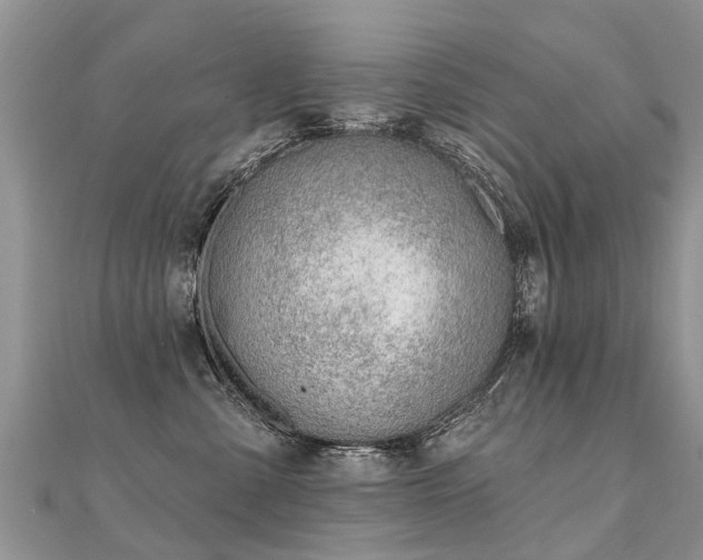 X0000112080427200908111459