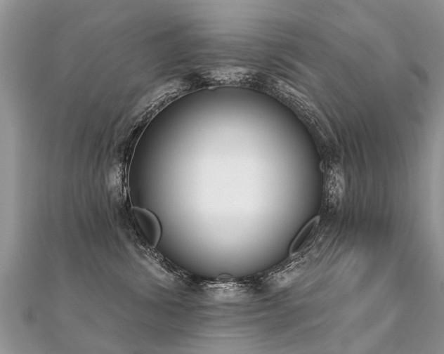 X0000112080428200908111459