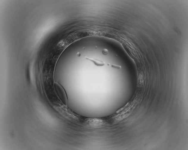 X0000112080429200908111459