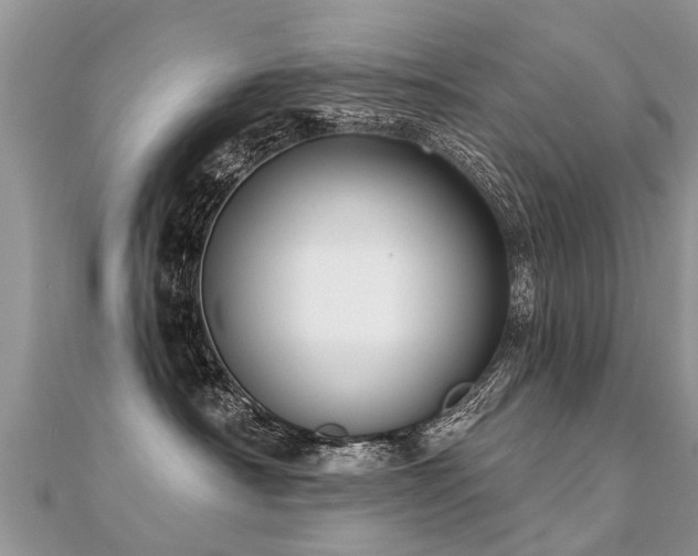 X0000112080430200908111459