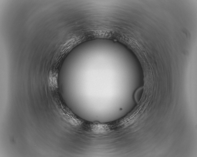 X0000112080432200908111459