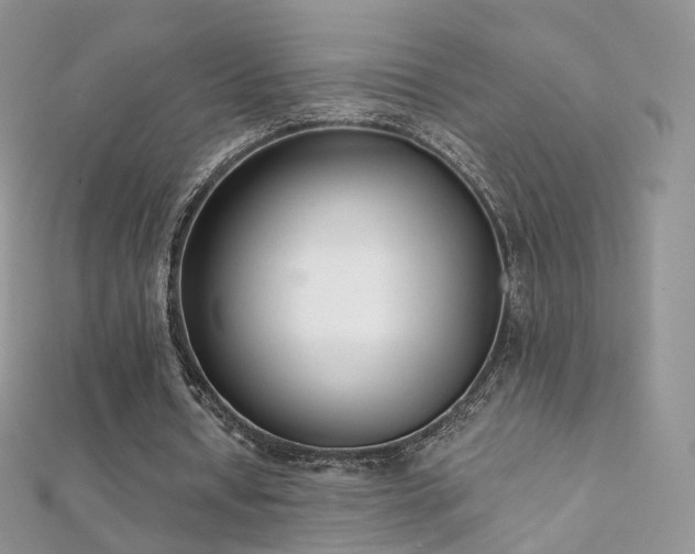 X0000112080434200908111458