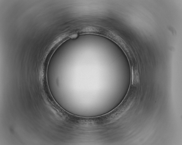 X0000112080435200908111458