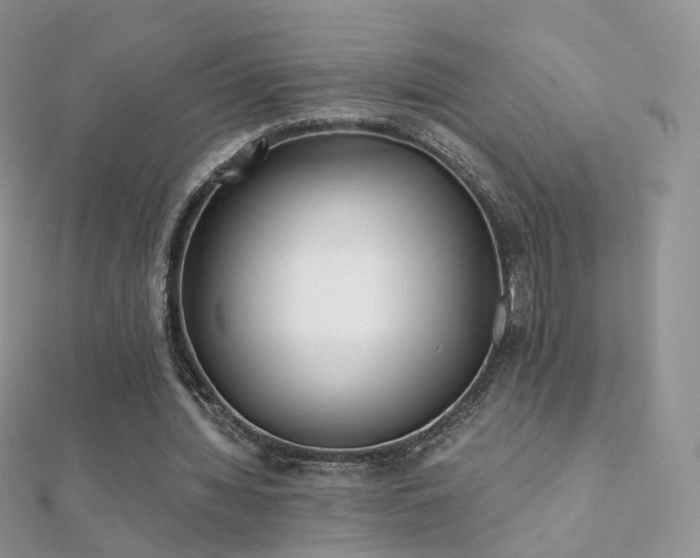 X0000112080436200908111458