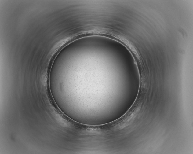 X0000112080437200908111458