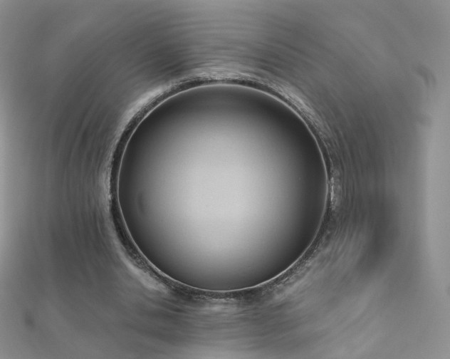 X0000112080438200908111458