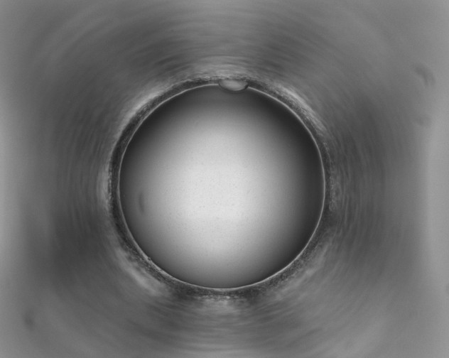 X0000112080439200908111458