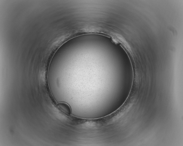 X0000112080441200908111458