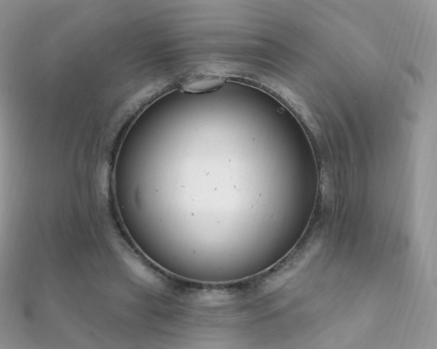 X0000112080445200908111458