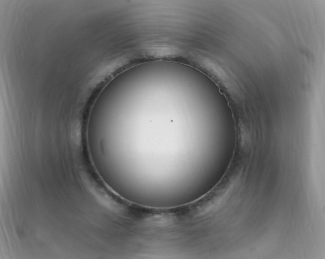 X0000112080447200908111458