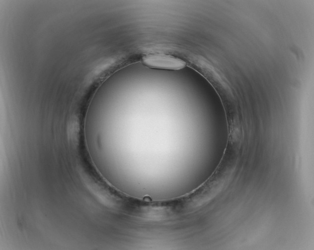 X0000112080448200908111458
