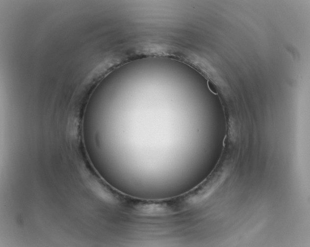 X0000112080449200908111459